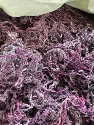 Purple Sea Moss | 40lbs